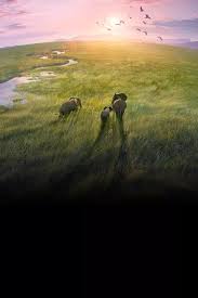 Watch Planet Earth III Streaming Online | Hulu