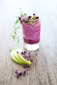 My Little Fabric Food And Creation Part 2 Chou Rouge Smoothie A La Pomme Recette Jus