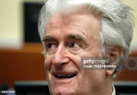 35,215 Anp And Pool Stock Photos, High-Res Pictures, and Images