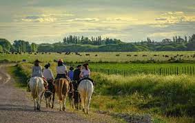 images?q=tbn:ANd9GcTZSAIho6Jj9_Kq_7Viz1CXvJPx8BeOjftbI8VmPIfar3qBZTwRI5rVD5Lt9C8EoljxmYA&usqp=CAU