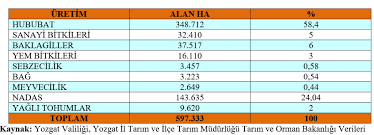 Check spelling or type a new query. Yozgat Ta Tarim