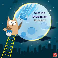 how often do you eat french food not very often maybe once in a blue moon 你多久吃一次法國菜 不是很常 或許久久才一次 blue moon classroom learn english