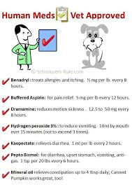 Vet Approved Human Meds Good To Know For Rambo Meds For