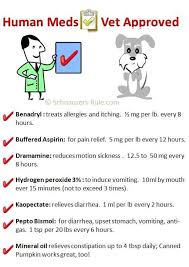 vet approved human meds good to know for rambo meds for