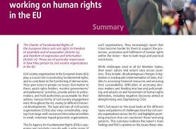 No other provision of the present constitution may contradict the fundamental principles of the. Article 11 Freedom Of Expression And Information European Union Agency For Fundamental Rights