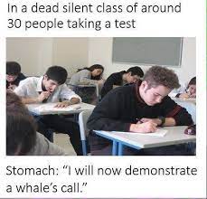 Someone S Stomach Is Always Playing You The Song Of Their People College Memes Funny Quotes Classroom Memes