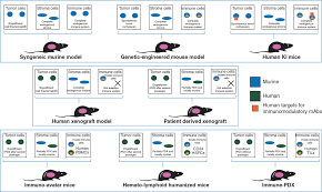 Check spelling or type a new query. Defining The Optimal Murine Models To Investigate Immune Checkpoint Blockers And Their Combination With Other Immunotherapies Annals Of Oncology