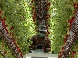 Rádio comercial, +3 more faculdade de motricidade. Na Radio Comercial