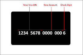 For example, the mii for a visa credit card starts with a 4. Visa 8 Digit Bins Are Just Around The Corner And Many Questions Remain Pci Blog Control Gap