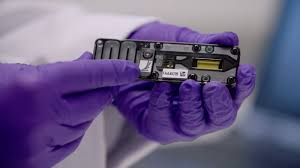 Image result for Cleistachne sorghoides