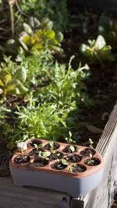orta gardens (ortagardens) on pinterest