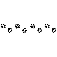 Coloriage A Imprimer Animaux Chat Numero 4367 Coloriage Coloriage A Imprimer Dessin Chat