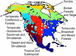 Biome mapping across north america. North American Biomes Modified From Olson 2001 As Defined For The Download Scientific Diagram