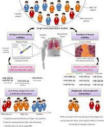 In fact, the american cancer society studied pfoa, and it was found to be the strand of pfas that can lead to the development of cancers in humans. Mesothelioma Asbestkanker Ranpirnase Oftewel Onconase Geeft Een Significant Verschil In Overleving Bij Mesothelioma