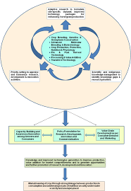 Image result for Macrotyloma maranguense