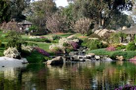Large boulders and stones were brought in from all around japan, and they feature prominently in the. Cowra Japanese Garden