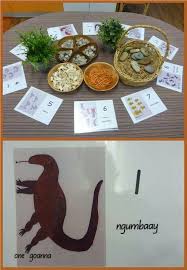 Maths With Natural Materials Early Literacy And Indigenous Elements Aboriginal Education Australian Animals Preschool Indigenous Education