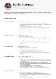 Type of resume and sample, curriculum vitae examples for professors. Adjunct Faculty Cv Example August 2021