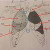 The stethoscope is the most important piece of diagnostic equipment we use. 1