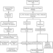 Eisenmenger Syndrome Not Always Inoperable Respiratory Care