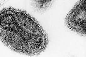 We did not find results for: ç¾Žåœ‹å»¢æ£„å¯¦é©—å®¤é©šç¾å¤©èŠ±ç—…æ¯' é¢¨å‚³åª'