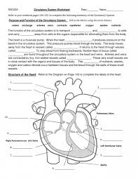 Solved Snc200 Date Name And Circulatory System Worksheet Chegg Com