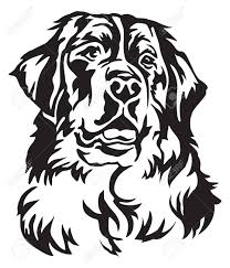 Black Bernese Mountain Dog Clipart Decorative Portrait Of Bernese Mountain Dog Vector Isolated Illustration In Black Color On White Background Spon Mo Dog Silhouette Dog Vector Dog Stencil