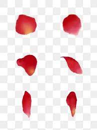 Hand Painted Red Rose Petals For Commercial Use Png And Psd Red Rose Petals Valentines Red Roses Red Roses Background
