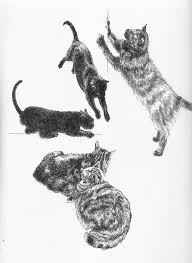 Showing how to draw a cat. Sketchbook Cat Studies Album On Imgur