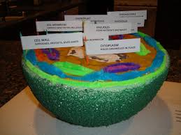 If you're learning biology in school, your teacher might ask you to create your own model of an animal cell to help you understand how cells work. Group Cell Fie Create Webquest