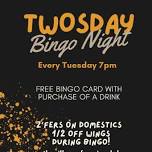 Bingo Night at The Villager Farmingdale