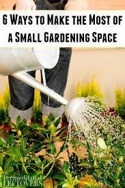 Trees cost more up front than seed packets or vegetable starts, but can last for your lifetime and beyond — and typically, you can find them in a range of sizes to tailor the price to your budget. 6 Ways To Mak The Most Of A Small Garden Space