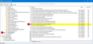 To safeguard your update experience, we have applied a compatibility hold on windows 10 devices with affected conexant or synaptics audio drivers installed from being offered windows 10, version 2004 or windows server, version 2004 until the driver has been updated. Enable Or Disable Driver Updates In Windows Update In Windows 10 Tutorials