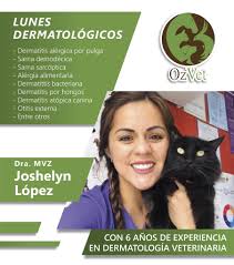 Clínica Veterinaria Ozvet