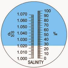 How To Measure Salinity In A Saltwater Aquarium Marine