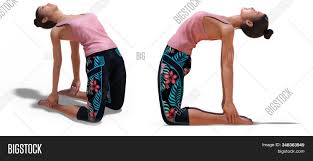 Check spelling or type a new query. 3d Illustration Front Image Photo Free Trial Bigstock