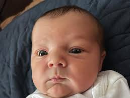 The November Dispatch 2024 by OneWatco