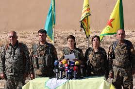 Image result for Syrian Democratic Forces (SDF) LOGO