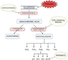 نتیجه جستجوی لغت [inhibiting] در گوگل