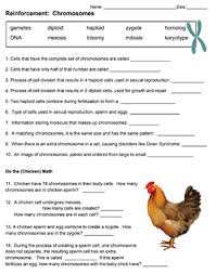 As far as i understand it, a mutation is an alteration in the genetic sequence, having tricked the repairing machinery and thus. Biology Corner Genetics Genetics Practice Problems Simple The Biology Corner