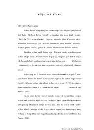 Pdf kanak kanak bermasalah tingkahlaku. Top Pdf Tingkah Laku Kawin