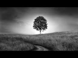 Acrylic Black And White Landscape Paintings Black And White Tree Landscape Acrylic Painting Live Tutorial Youtube Tablolar