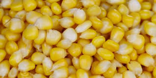 Jagung untuk ibu hamil sangat baik dikonsumsi, karena mengandung tinggi nutrisi penting yang dibutuhkan selama masa kehamilan.dalam 100 ada berbagai penjelasan ilmiah mengenai manfaat jagung untuk ibu hamil, yang bisa memantapkan keinginan wanita mengonsumsinya tanpa rasa. 10 Manfaat Mengejutkan Dari Jagung Bagi Kesehatan Merdeka Com