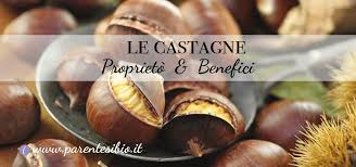 Come si mangiano, caldarroste, castagne bollite, crema di castagne tutto il profumo e il sapore dell'autunno in un riccio. Proprieta Delle Castagne Parentesi Bio Il Bio Blog E Shop Online