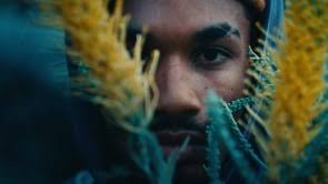 TOYOTA CANT STOP MY DRIVE : BRADFORD YOUNG — SHAWN PETERS