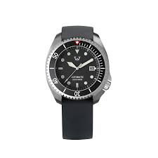 Image result for diving watch