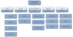 42 Described Business Development Department Organizational