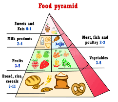 healthy eating pyramid chart stock illustration