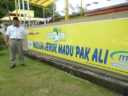 Jeruk madu pak ali yang memang terkenal dengan rasanya yang enak, halal dan bersih dari segi pembuatannya, kini telah dipertingkatkan lagi dengan beberapa pembaikan didalam proses pengeluaran. Pak Ali Jeruk Mangga Sala 500g Halal Penang Famous Jeruk Madu Halal By Penangtogo Lazada