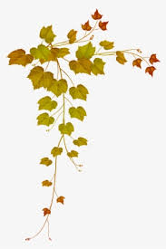 Fall Leaves Png Transparent Fall Leaves Png Image Free Download Pngkey Classical hand drawn illustration of abstract decorative foliage falling leaves repeat. fall leaves png transparent fall